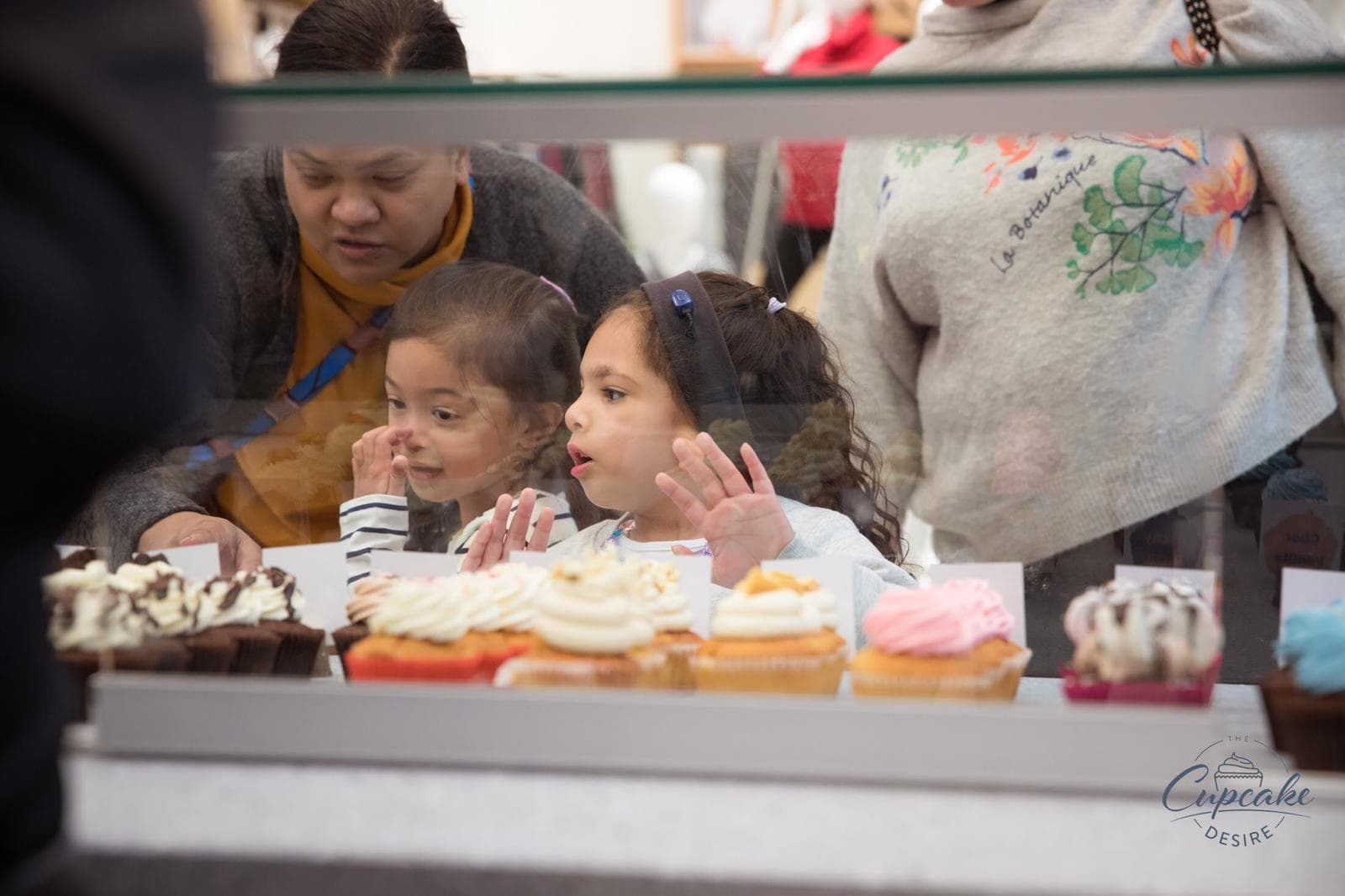 Children choosing cupcakes at The Cupcake Desire display case