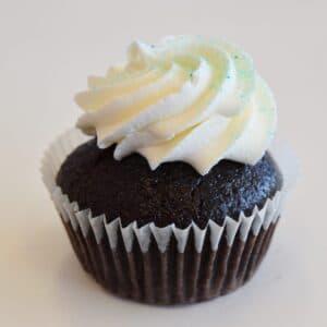Vegan Chocolate Vanilla