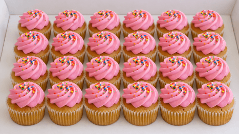 Mini Cupcake Box (24)