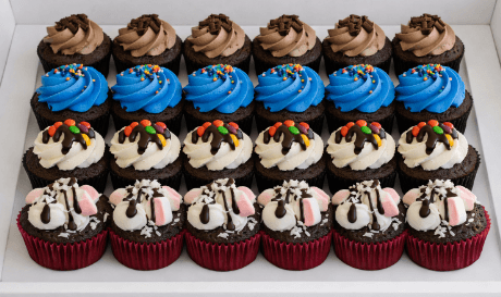 Chocolate Base Mini Box of 12